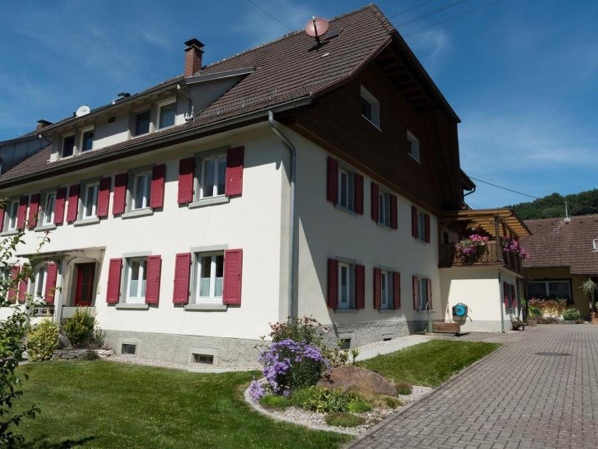 Haus Belchenwind Apartment Muenstertal Ngoại thất bức ảnh